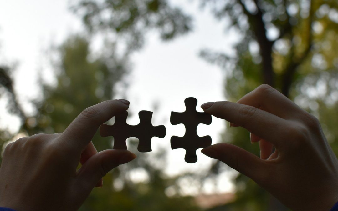 SEDRIX 6.0.1: Senceive-Integration